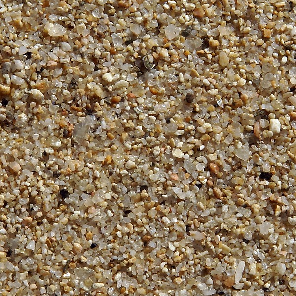 Playa Nova Icaria