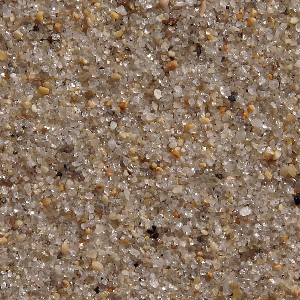 Moon Stone Beach