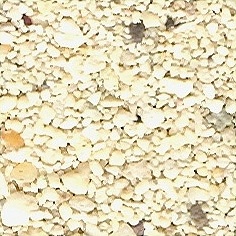Tahaa