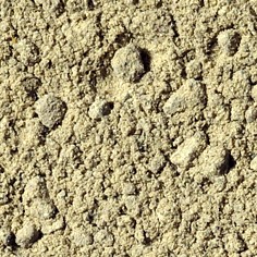 Val de Travers / Mine d'Asphalte