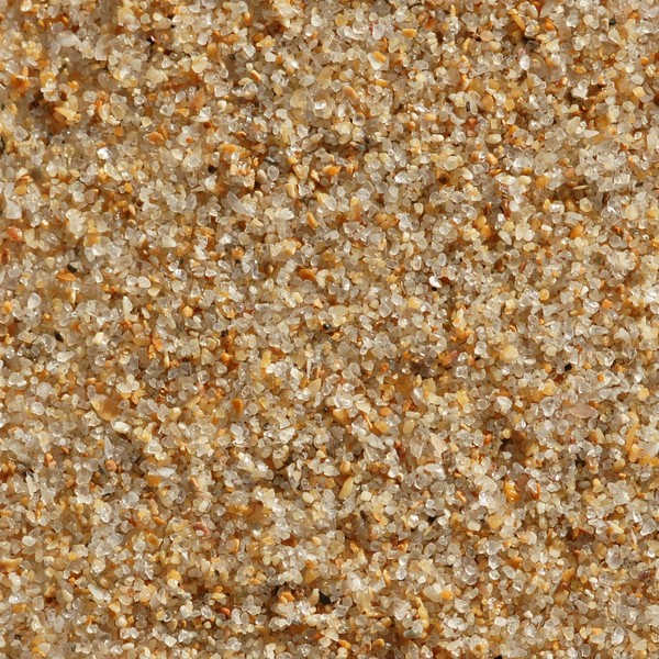 Charneca da Caparica
